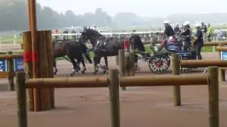 Mascheroni, Carlo, ITA, CH M A4, Alltech FEI WEG Caen Normandy FRA 2014, Marathon O 1, 06 09 2014