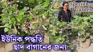 Rooftop Garden Vegetable Unit Method high quality rooftop Garden special vegetable and flowers