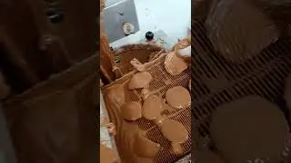 making a lot of people's favorite chocolate-covered chips