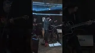 Rain ☔ DOGS with (Ty Gavin).         Satellite Of Love - Sanchos