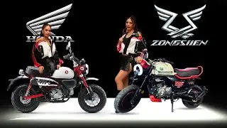 2026 New Cyclone Mini Panda vs Honda Monkey &ndash; Half the Price, Twice the Tech?
