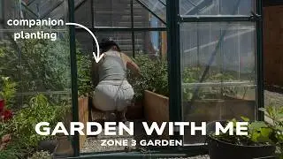 Garden With Me Zone 3 | Torching weeds, planting basil + thunbergia, planning pussy willow placement