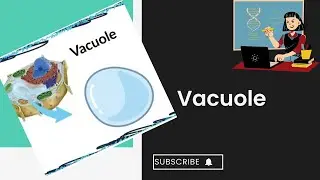 Vacuole l Plant & animal vacuole l cell structure and function l XI biology