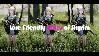 SKYRIM MOD I Lore Friendly Rifles of Skyrim