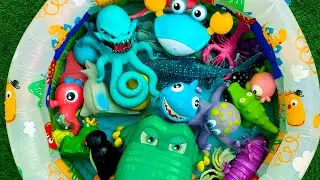 Sea Animals for Kids: Learn Names, Facts & Educational Ocean Toys for Toddlers