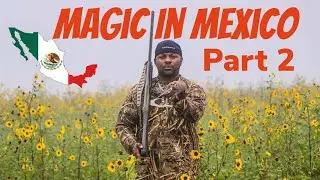 (Duck Hunting) Waterfowl and Upland Bird Hunting For Ducks and Dove In Mexico | Part 2