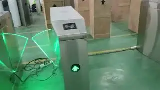 Automatic Flap Barrier
