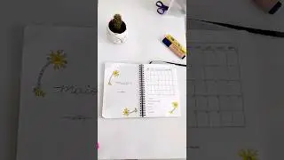 Bullet journal de estudos de Maio🧠 #bulletjournal #bulletjournal2024 #bulletjournalplanwithme #study