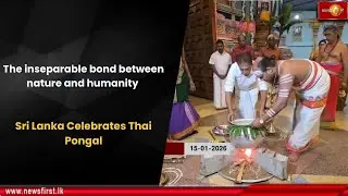 The inseparable bond between nature and humanity: Sri Lanka Celebrates Thai Pongal