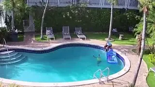 Video shows stranger saving child from drowning in swimming pool