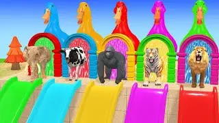 Long Slide Game with Cow Elephant Gorilla Hippopotamus Tiger 3d Animal Game Funny 3d Animals