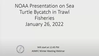 NOAA Presentation on Sea Turtle Bycatch in Trawl Fisheries Jan22