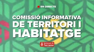 Comissió Informativa de Territori i Habitatge. Reunió del 19 de gener de 2026