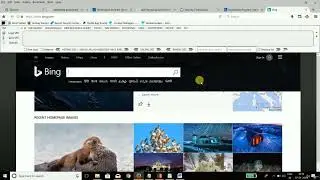 Bug Bounty | Host Header attack - Live Website | 012
