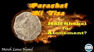 Parashat Ki Tisa: Half Shekel for Atonement?