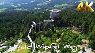 Wald Wipfel Weg  in Sankt Englmar Maibrunn Waldturm  Haus am Kopf  Kugelhaus Bayern Waldwipfelweg