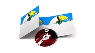 Six Panel CD Jacket Printing | Custom CD Wallet and Sleeve Box.