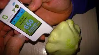 Обзор и тесты нитраттестера Greentest ECO
