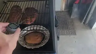 Chicken Check Prt.4 CHICKEN IS DONE!