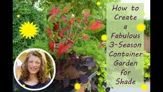 Create a 3 Season Shade Container Garden