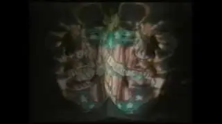 Sounds Of The West (Part 4) - Punk To Avant Garde