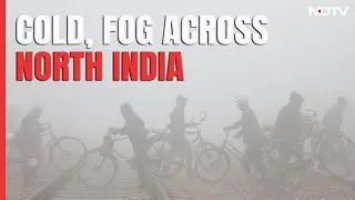 Foggy Morning, Cold Wave Continue Across North India, Flight Ops Hit