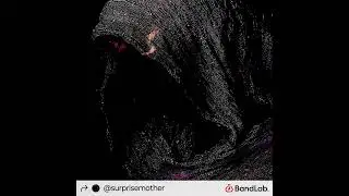 NF 