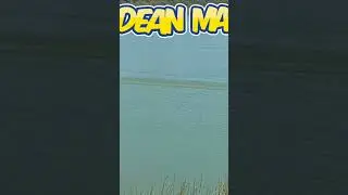 Dominator Mono by Oxidean Marine www.oxideanmarine.com