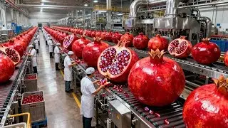 Inside Pomegranate Juice Factory 🍹 How Pomegranate Juice is Made | Fruit Processing Machine