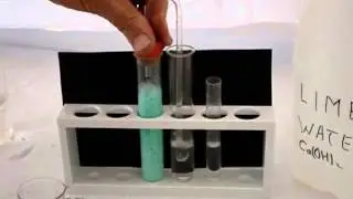 Copper carbonate reacts with sulfuric acid