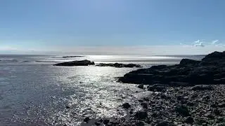 Jenny browns point