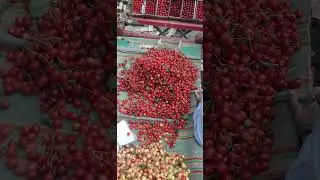 swat kalam kpk pakistan the most beautiful valley swiss of the east plz come and join us🇵🇰🌹🕊
