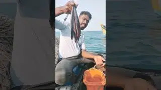 #fish #fisherman #🌫️🌊#beachfishing # #fishing #fushingmethods #fishingtechniques #fishing #crab