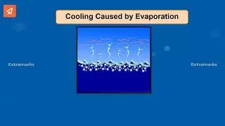 Evaporation|Class9 SCIENCE|CH-1|(3/3)topic|(5/5)Part|Interconversion of States of Matter