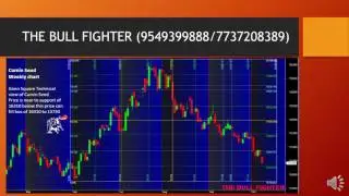 NCDEX Chart