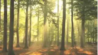 Outdoor Behavioral Health Programs from AspenEducation Group