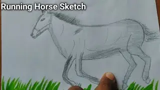 RUNNING HORSE SKETCH | HORSE ON GROSS | for kids #Mpedia Talks Art