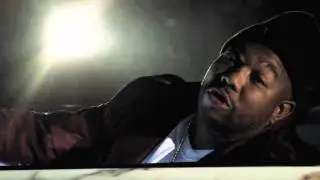 Gorilla Zoe 