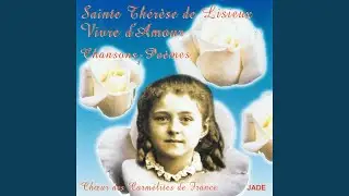 Une rose éfeuillée