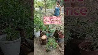 mrant to be? watch this! pls share follow and don't forget to subscribe