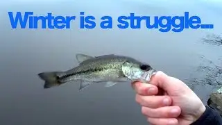 Winter Bass Fishing is a Struggle