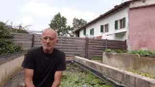 Piante acquatiche: le ninfee tropicali - coltivazione e caratteristiche -