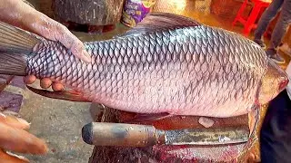 Today Big Rohu Fish Cutting By Bangladeshi Expert Fish Cutter | Amazing Cutting Skills