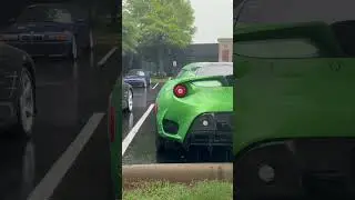 I wasn&rsquo;t bold enough to grab the leaf off of the hood