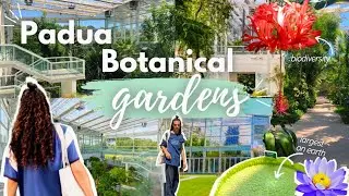 Let's go to Padua BOTANIC GARDENS!🏵️🌿#biodiversity #greenhouse