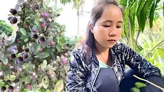 Vietnamese Countryside: Experience Real Rural Life & Village Life in Vietnam