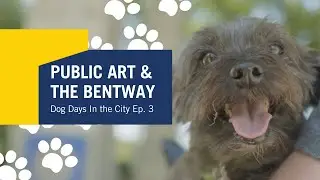 Public Art & The Bentway | Dog Days in the City, Ep. 3