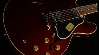 Gibson Custom Shop 1959 ES-335 Gloss  &bull;  SN: C2021