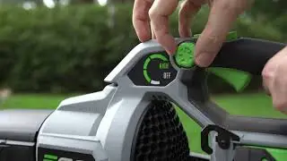 Best Electric Leaf Blower Brand for 2024