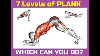7 Plank Levels - Beginner to Advanced